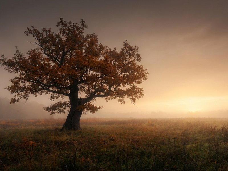 Strach ze smrti jako nečekaný spojenec: Proč nám vědomí konce přináší úlevu
